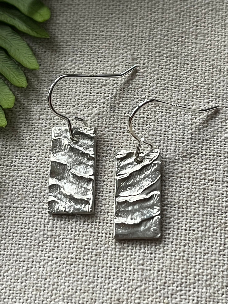 Silver fern earrings