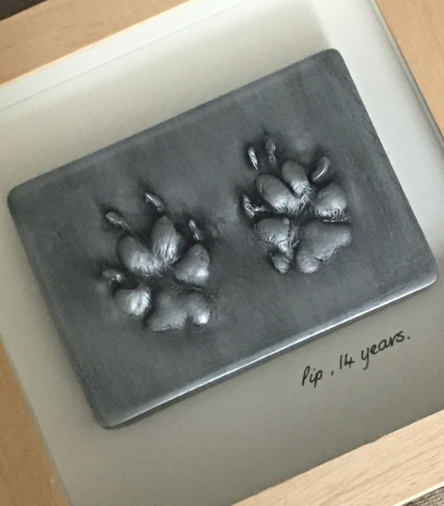 Pawprints Raised Impression - 1 pet x 2 pawprints